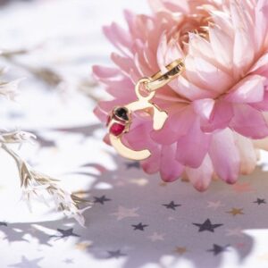 Pendentif Or jaune, Motif coccinelle